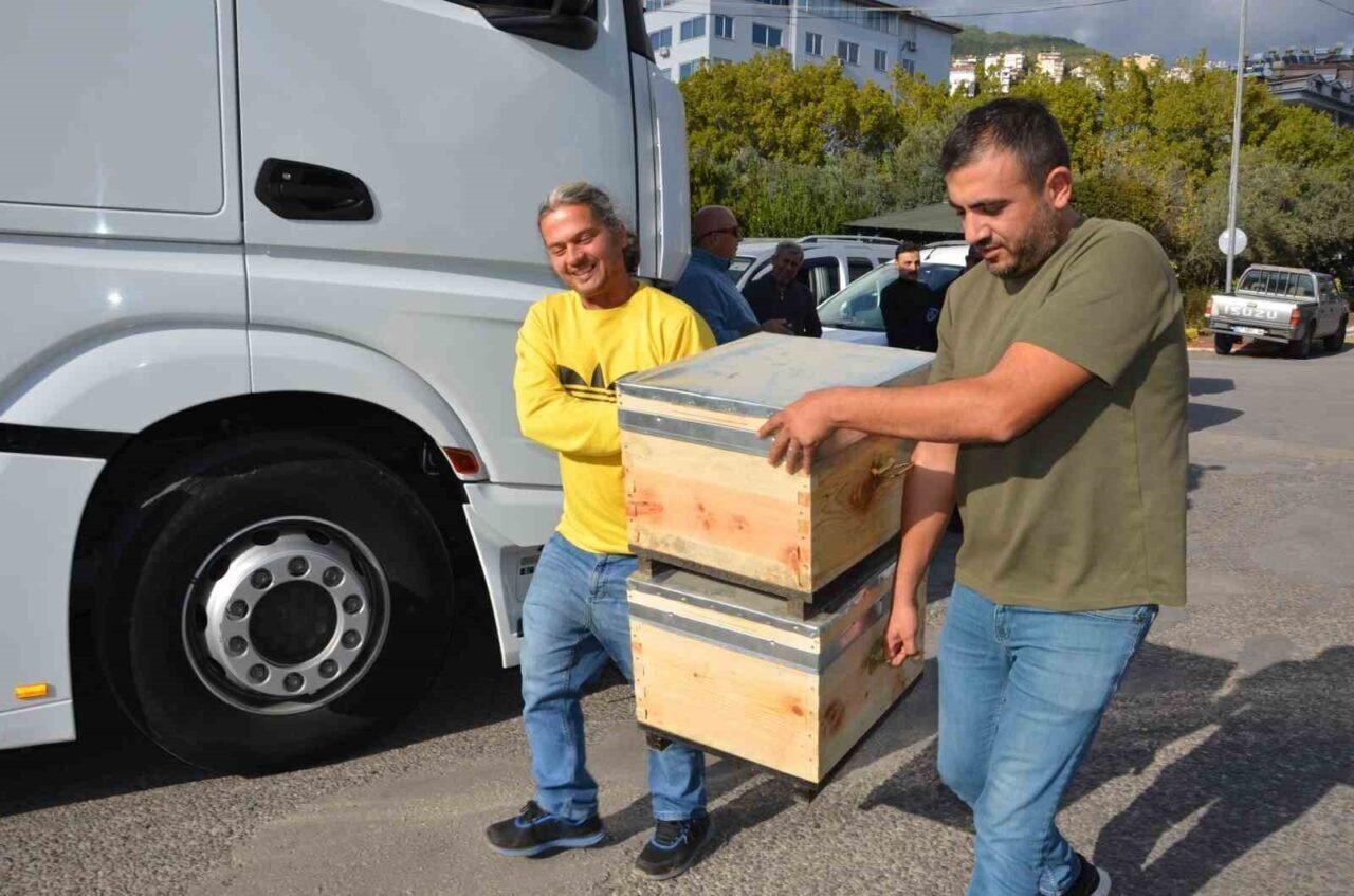 Alanyalı bal üreticilerine arı kovanı hibe edildi