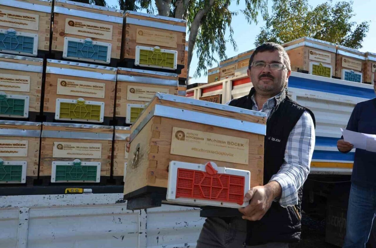 Alanyalı bal üreticilerine arı kovanı hibe edildi Alanyalı bal üreticilerine arı kovanı hibe edildi