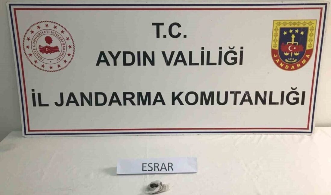 Aydın’ın Koçarlı, Kuşadası, Kuyucak ilçelerinde jandarma ekiplerince uyuşturucu kullandığı tespit