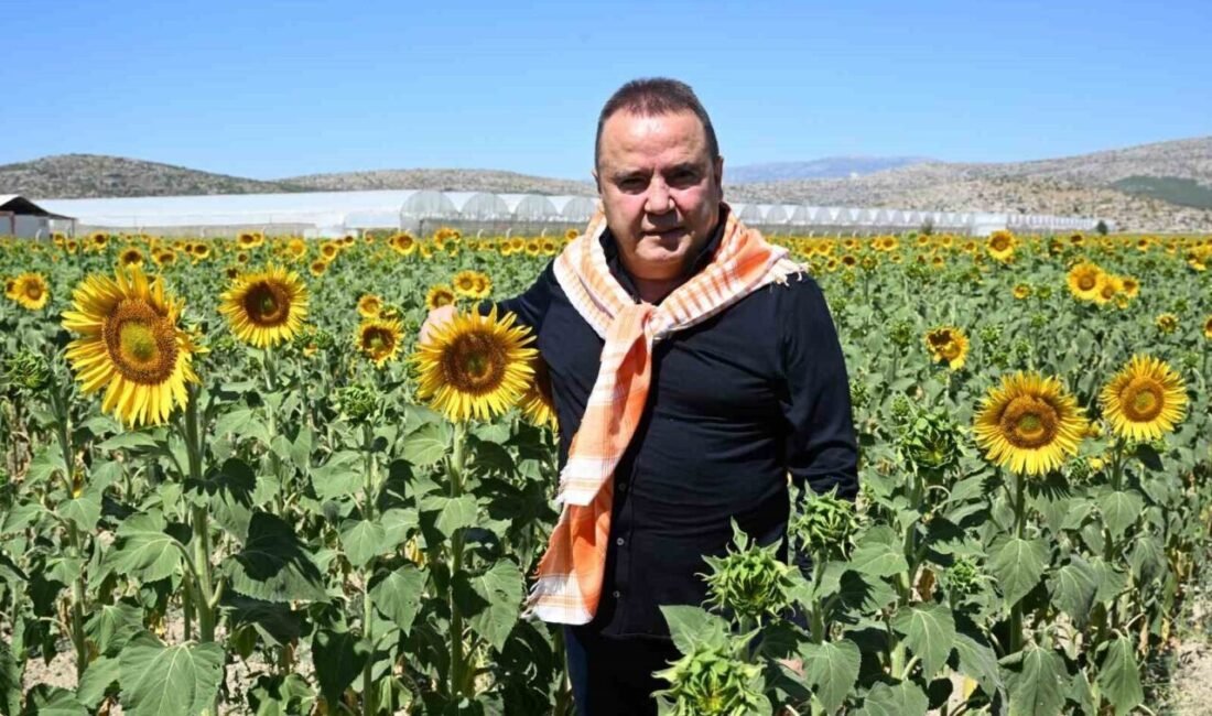 Antalya Büyükşehir Belediye Başkanı Muhittin Böcek, tarım sektörünün güçlü bir