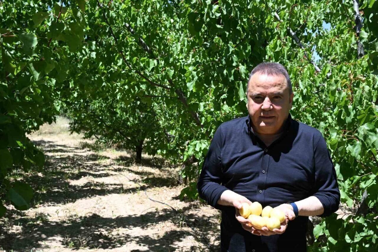 Başkan Böcek: “2025 yılında da çiftçinin yanında olmayı sürdüreceğiz”