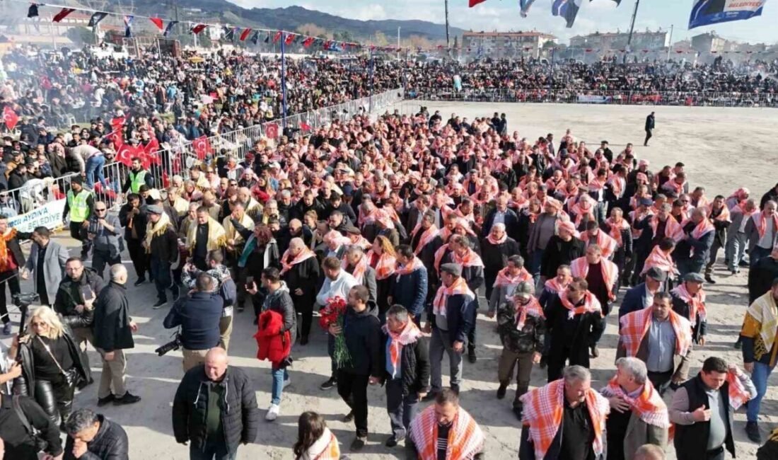 Aydın Büyükşehir Belediyesi tarafından düzenlenen Geleneksel Deve Güreşi başlarken Belediye