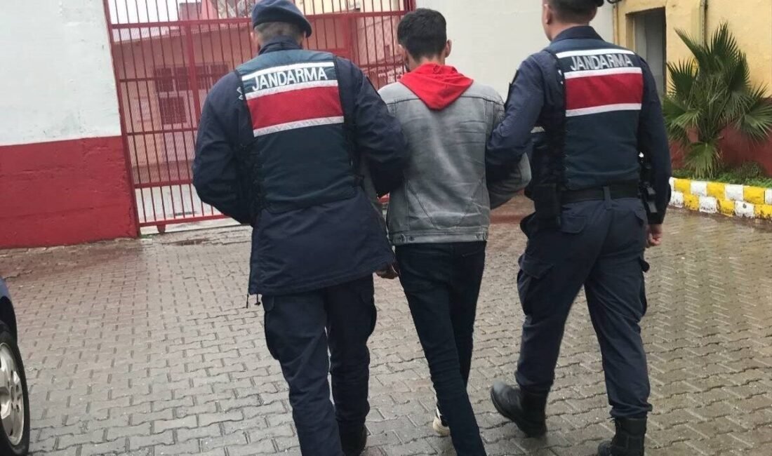 Aydın’ın İncirliova ilçesinde 22 çuval zeytin çalan şahıs jandarma ekipleri