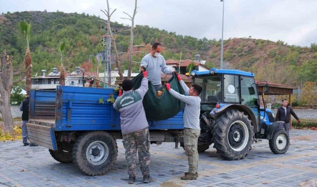 Antalya’da Kemer Belediyesi, ilçe genelinde bahçe atıklarının daha düzenli ve