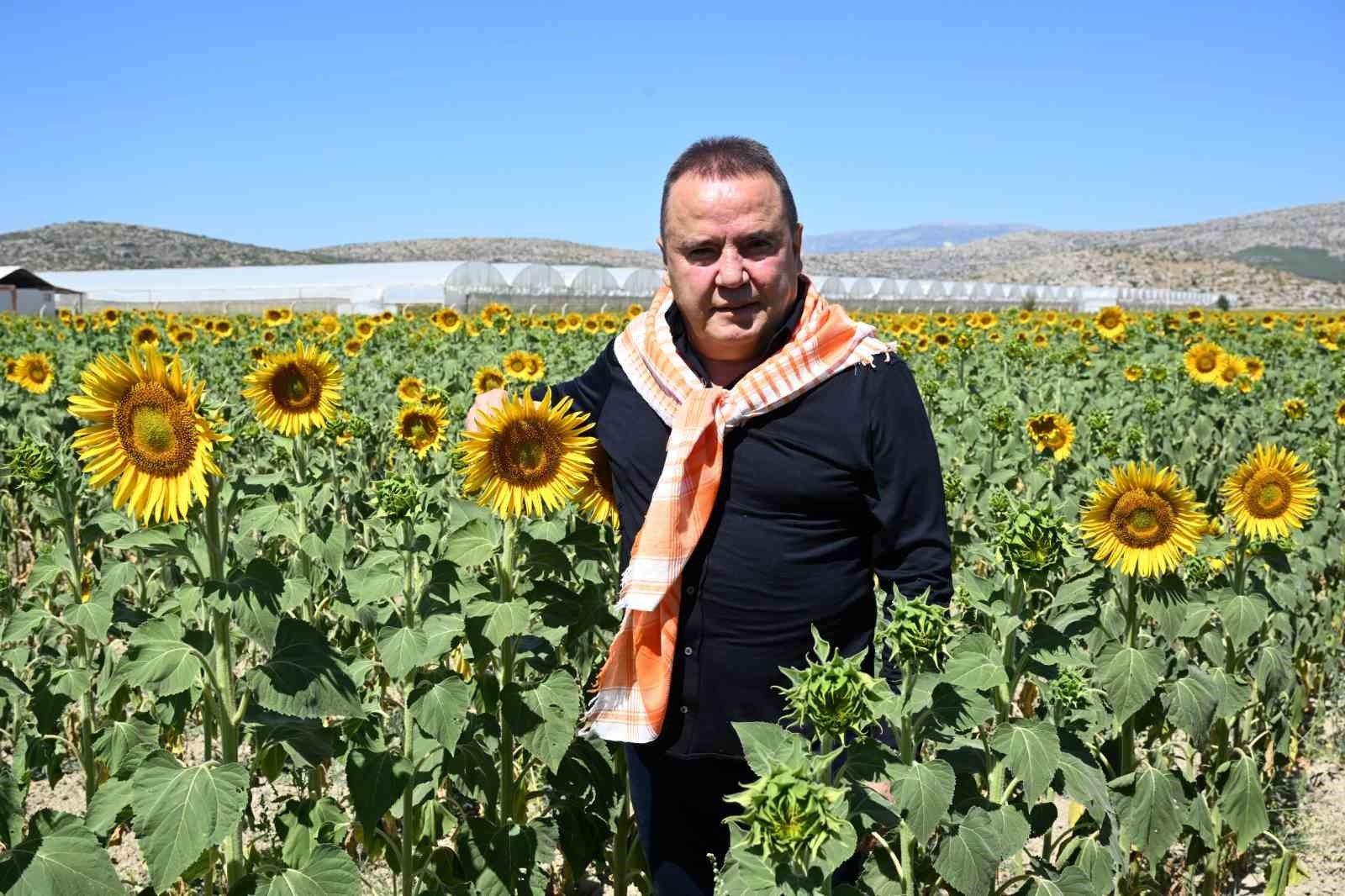 Antalya Büyükşehir Belediye Başkanı Muhittin Böcek, tarım bölümünün güçlü bir