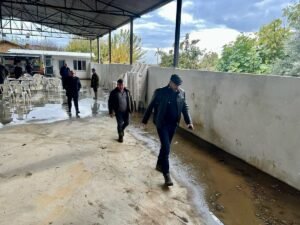 Aydın’ın Germencik ilçesi Moralı Mahallesi ağır yağış nedeniyle su baskını