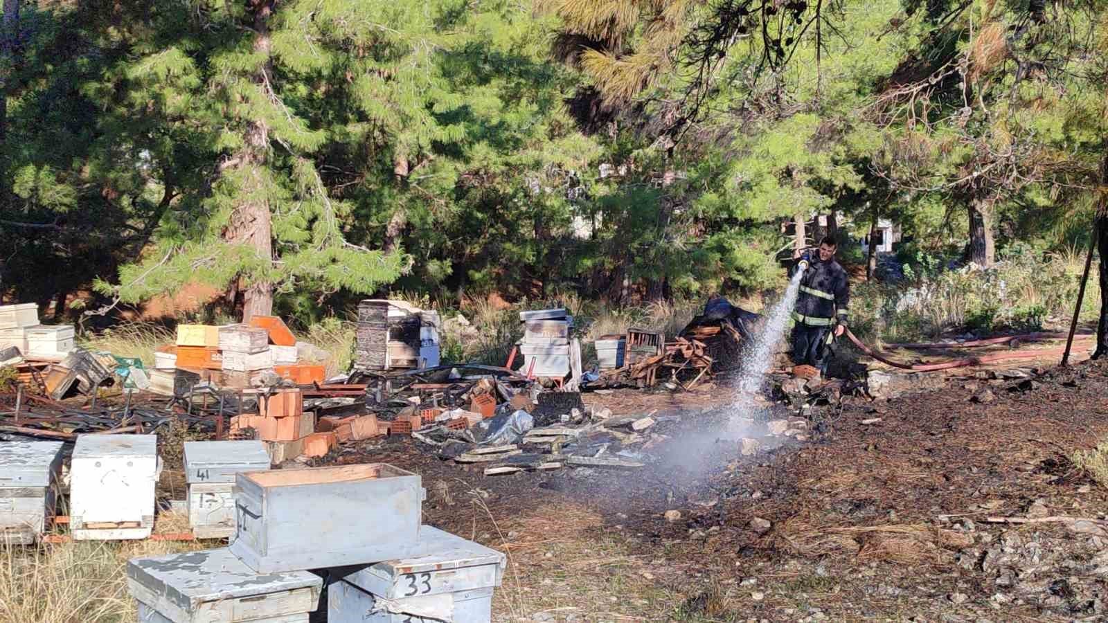 Antalya’nın Alanya ilçesinde mezarlıkta çıkan yangında orman içerisinde bulunan arı