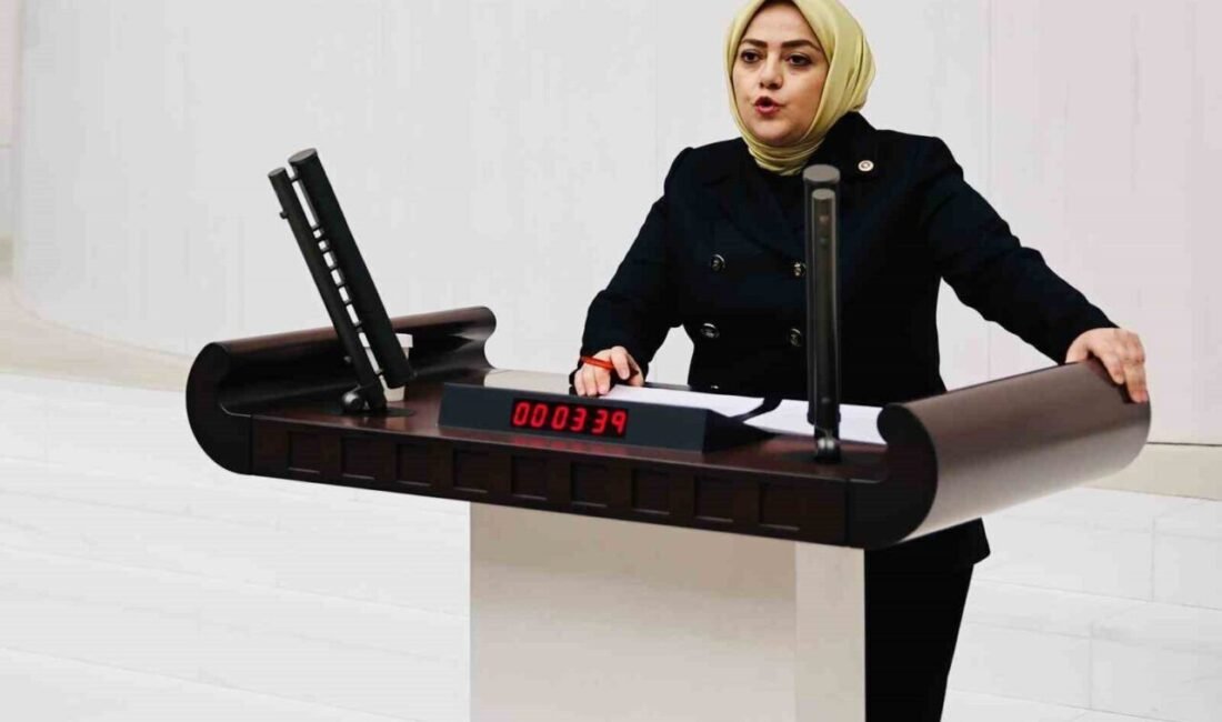 Denizli Milletvekili Sema Silkin Ün, Pamukkale-Kocadere-Yeniköy projesiyle ilgili olarak TBMM