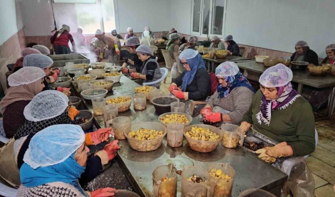 Aydın’ın Nazilli ilçesinde 18 yıl önce üretmeye başladığı kestane şekerini,