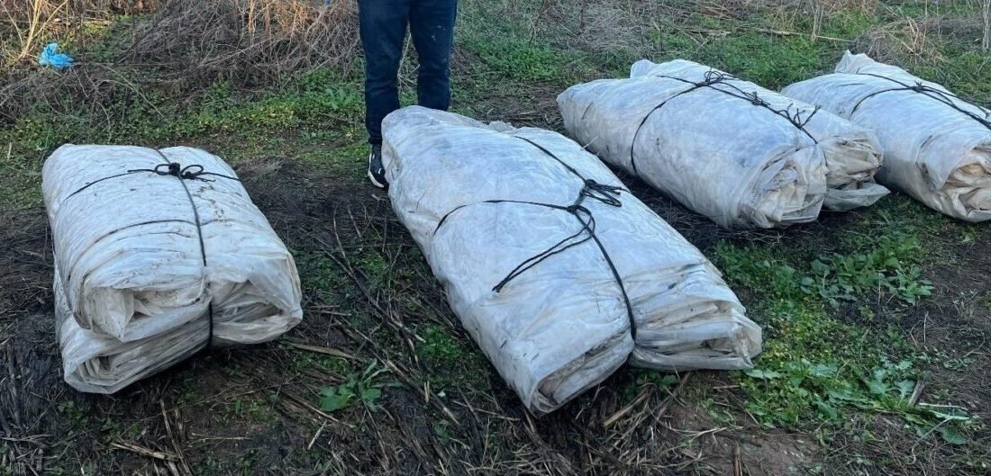 Aydın’ın Sultanhisar ilçesinde sera naylonu çalan 2 şüpheliden biri jandarma