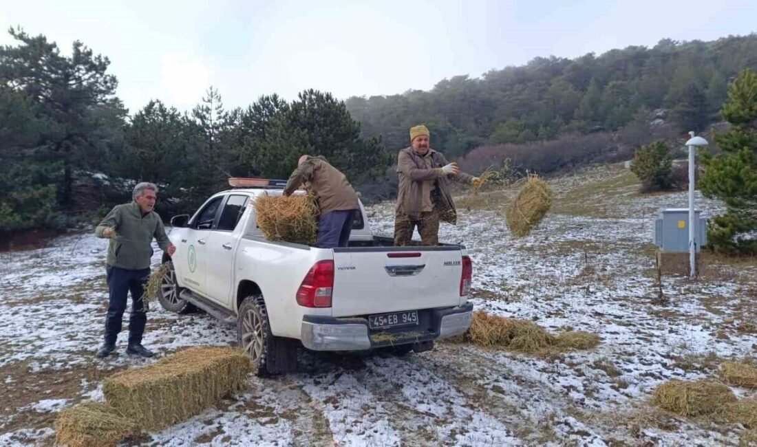 Manisa’nın eteklerinde kurulu Spil Dağı Milli Parkı’nda kış aylarının kendini