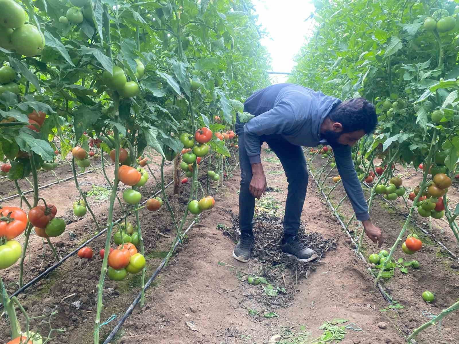 Suriyeli gencin 9 yıllık anne hasreti