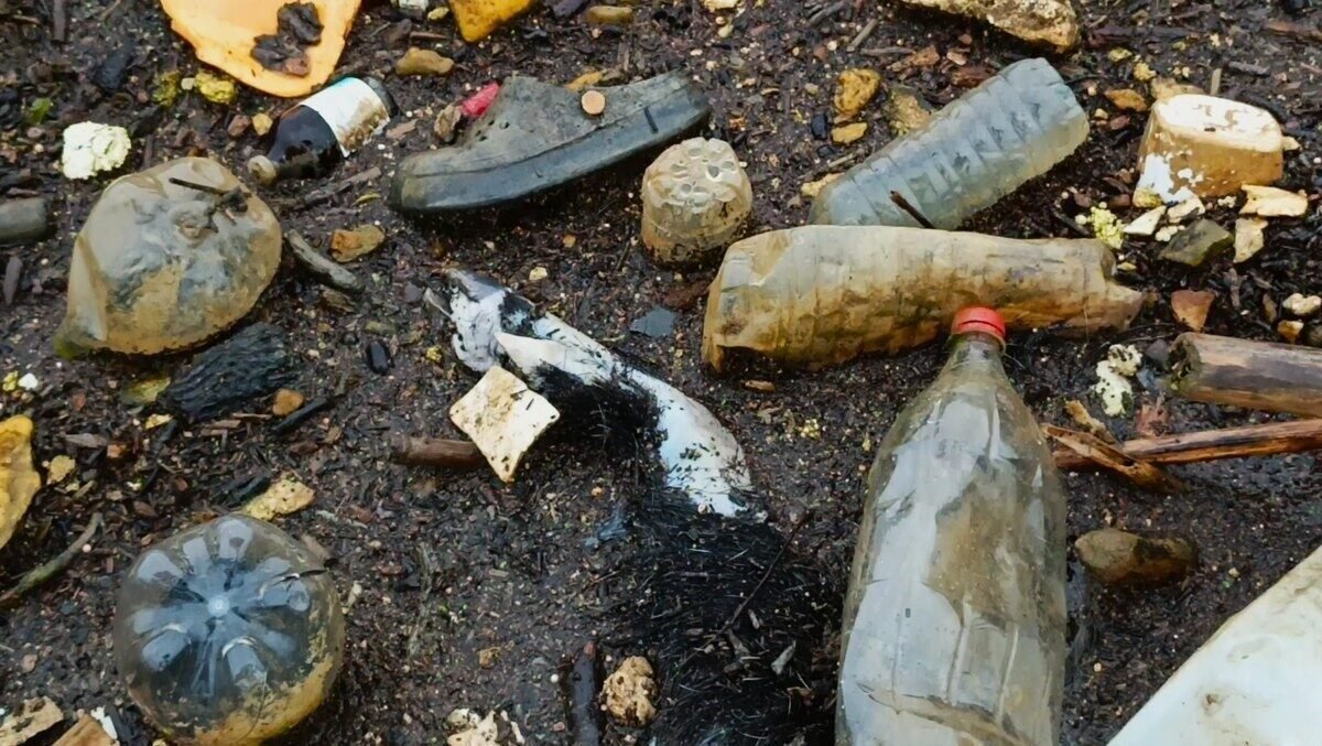 Taşköprü’deki çöp sorunu, tarihi yapıyı tehdit ediyor