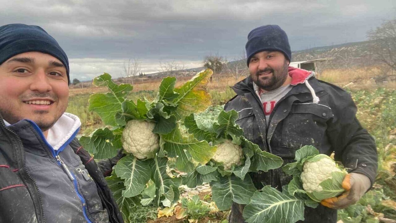 Üniversiteyi bitiren genç köyünde yetirilmeyeni üretti