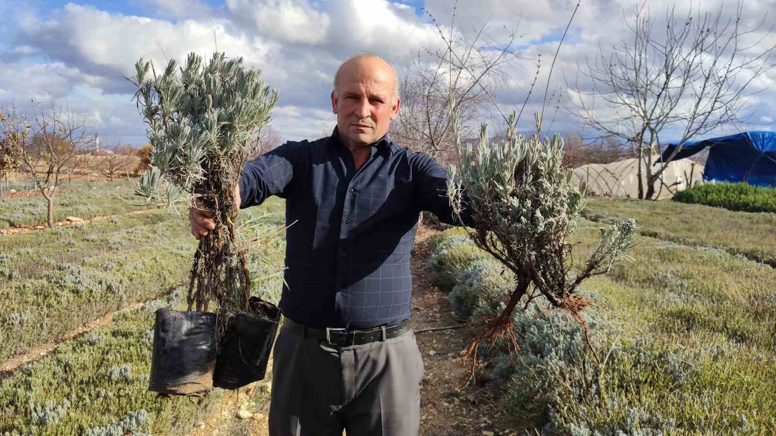 Denizli’nin Pamukkale İlçesine bağlı Gözler Mahallesi’nde 15 yıldan bu yana