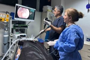 İzmir Katip Çelebi Üniversitesi Atatürk Eğitim ve Araştırma Hastanesi Gastroenteroloji