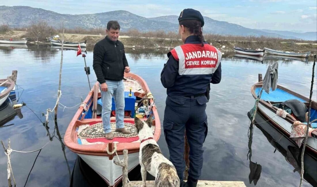 Aydın’da jandarma ekipleri tarafından Bafa Gölü’nde yılan balığı ve diğer