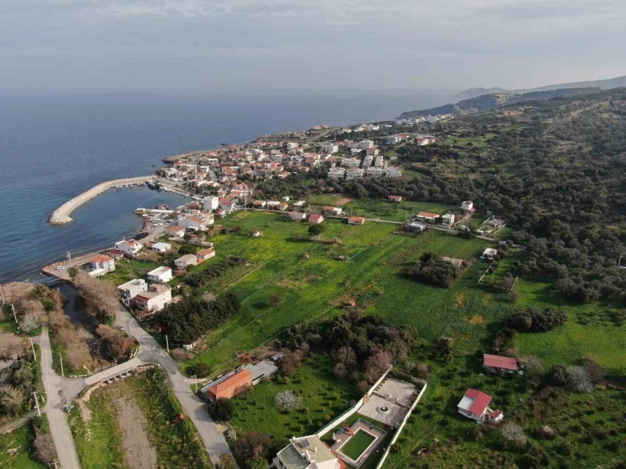 Karaburun’u nergis kokusu sardı