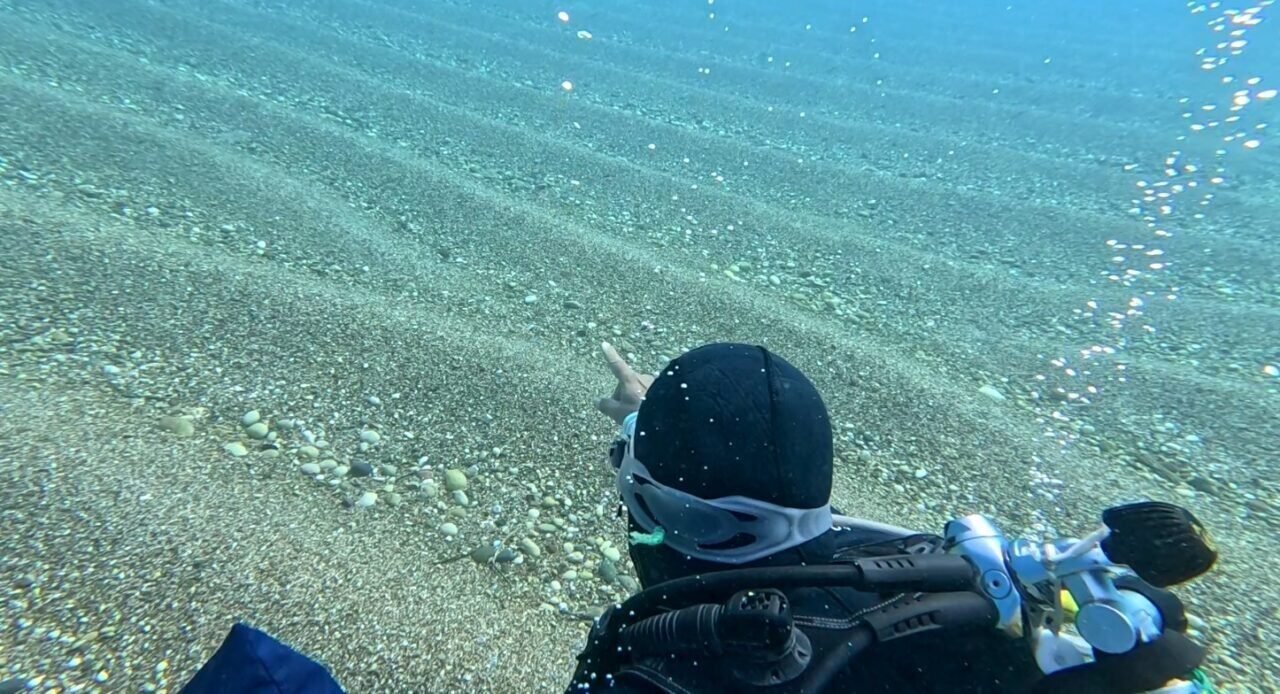 Antalya Körfezi’nde ilk kez görüntülere yansıdı: Sadece berrak suda görülebiliyor