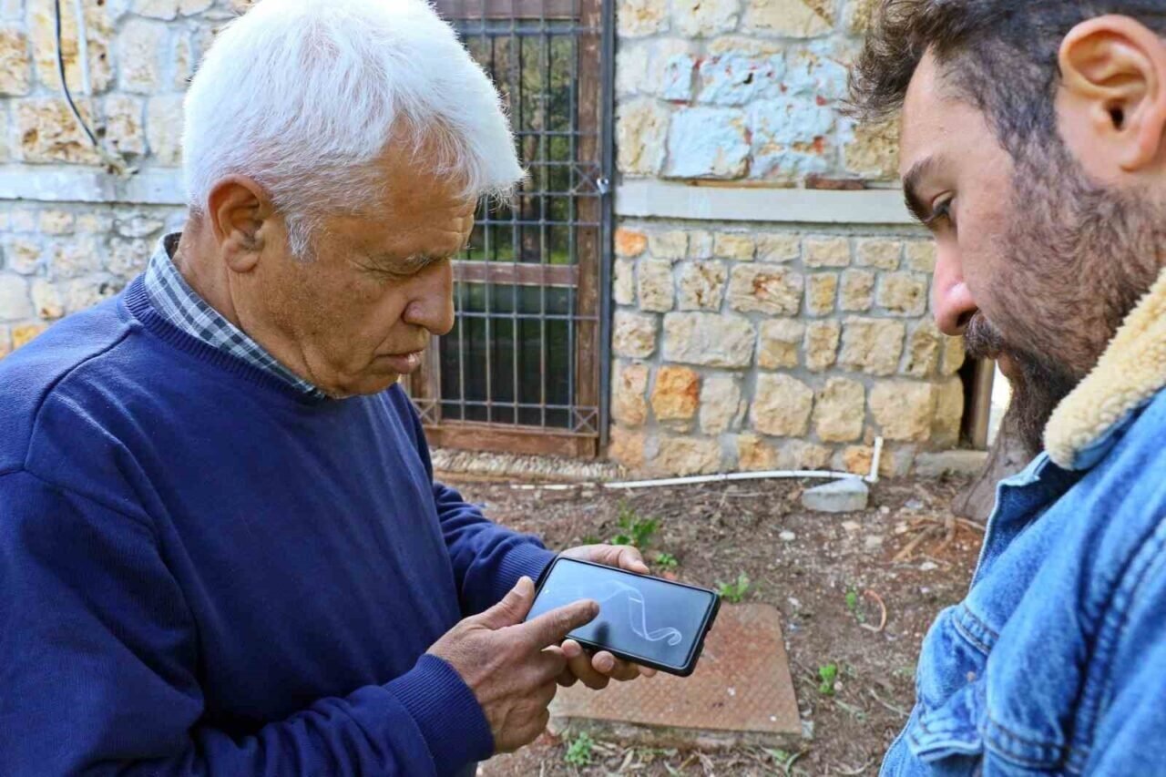 Antalya Körfezi’nde ilk kez görüntülere yansıdı: Sadece berrak suda görülebiliyor