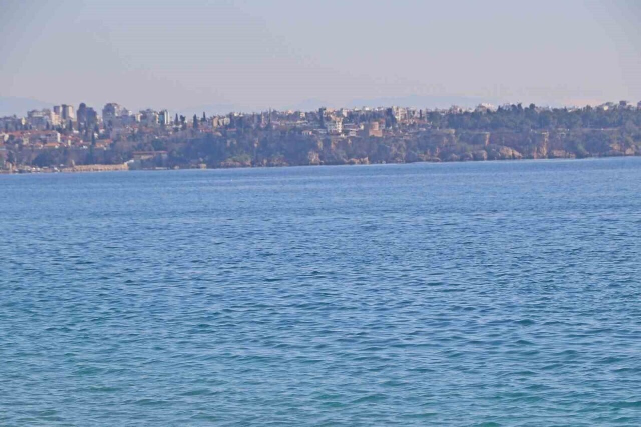Antalya Körfezi’nde ilk kez görüntülere yansıdı: Sadece berrak suda görülebiliyor