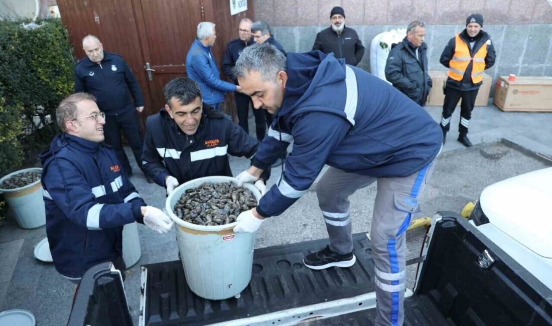 Antalya Büyükşehir Belediyesi Zabıta ekipleri, Antalya Şehirlerarası Otobüs Terminali’nde, ticareti
