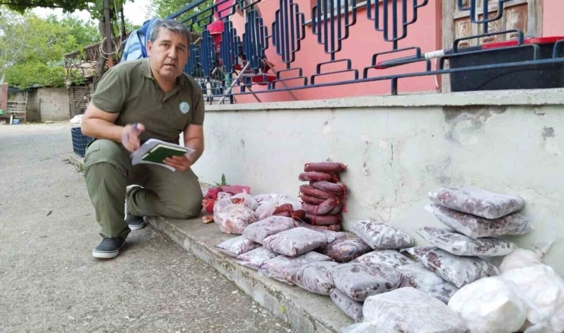 Antalya Doğa Koruma ve Milli Parklar Müdürlüğü ekipleri, Aksu ilçesinde