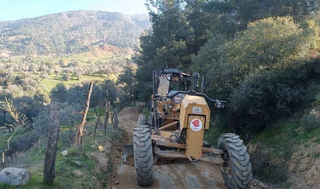Efeler Belediyesi Fen İşleri Müdürlüğü ekipleri, arazi yollarını düzenlemek için