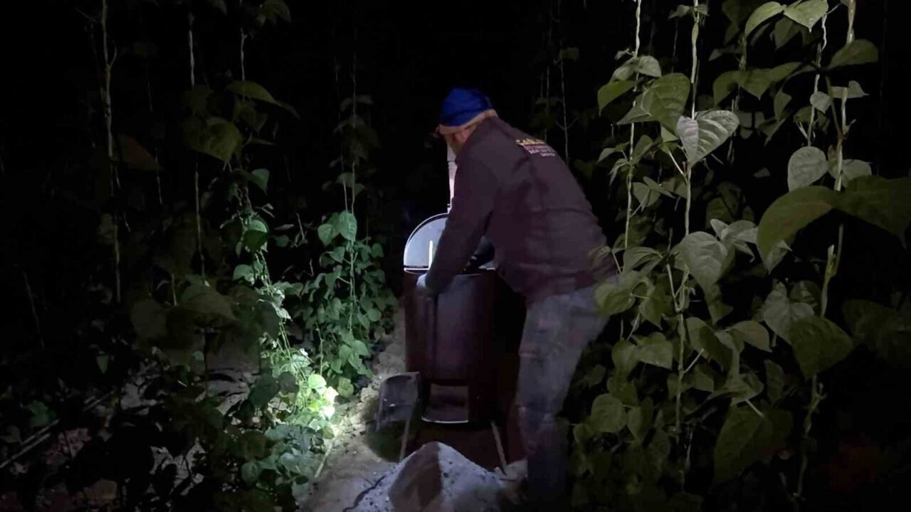 Gazipaşa’da dondurucu soğukta zirai don nöbeti