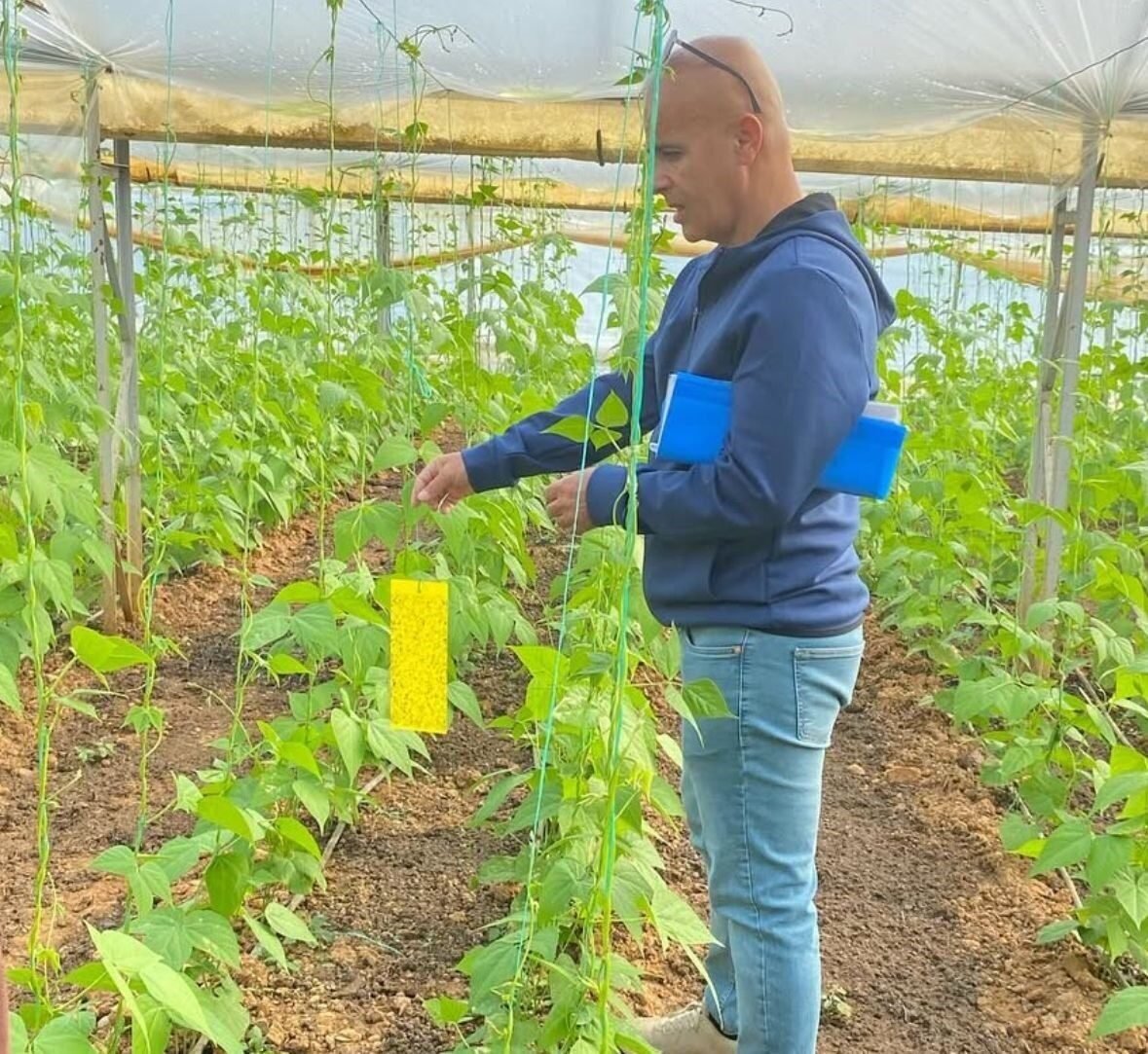Üreticilere bitki sağlığı eğitimi verildi