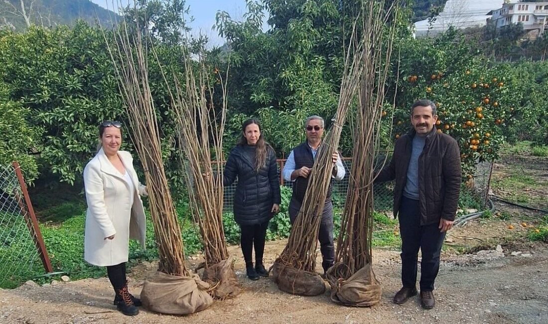 Antalya Büyükşehir Belediyesi, Alanya’ya bağlı Uğurlu ve Bıçakçı Mahallesi’ndeki 7