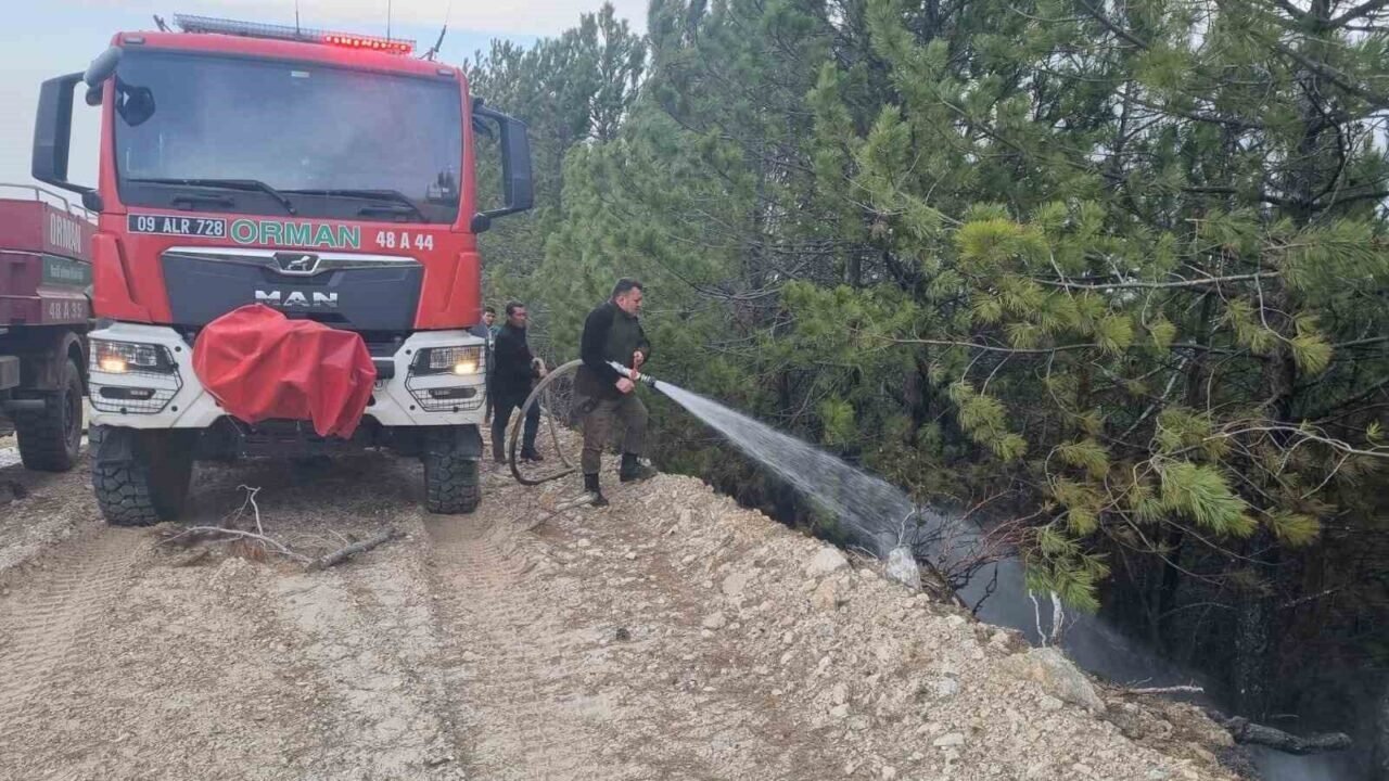 Aydın’daki orman yangını kontrol altına alındı