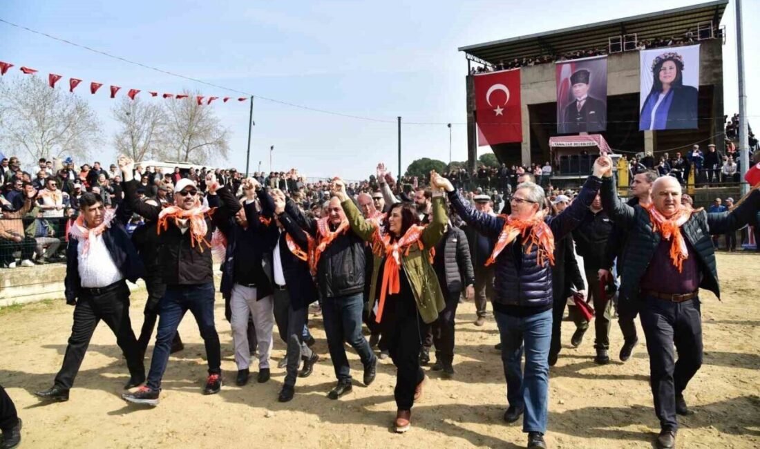 Aydın’ın Sultanhisar ilçesine bağlı Atça Mahallesi’nde sezonun son deve güreşi