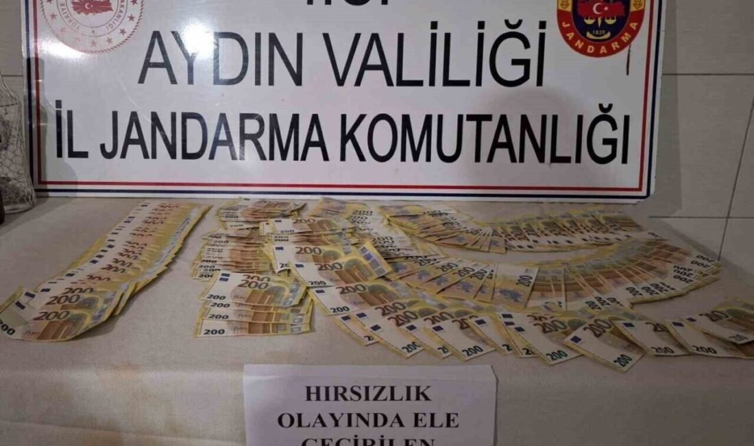 Aydın’ın Bozdoğan ilçesinde bir evden 6 milyon 350 bin TL