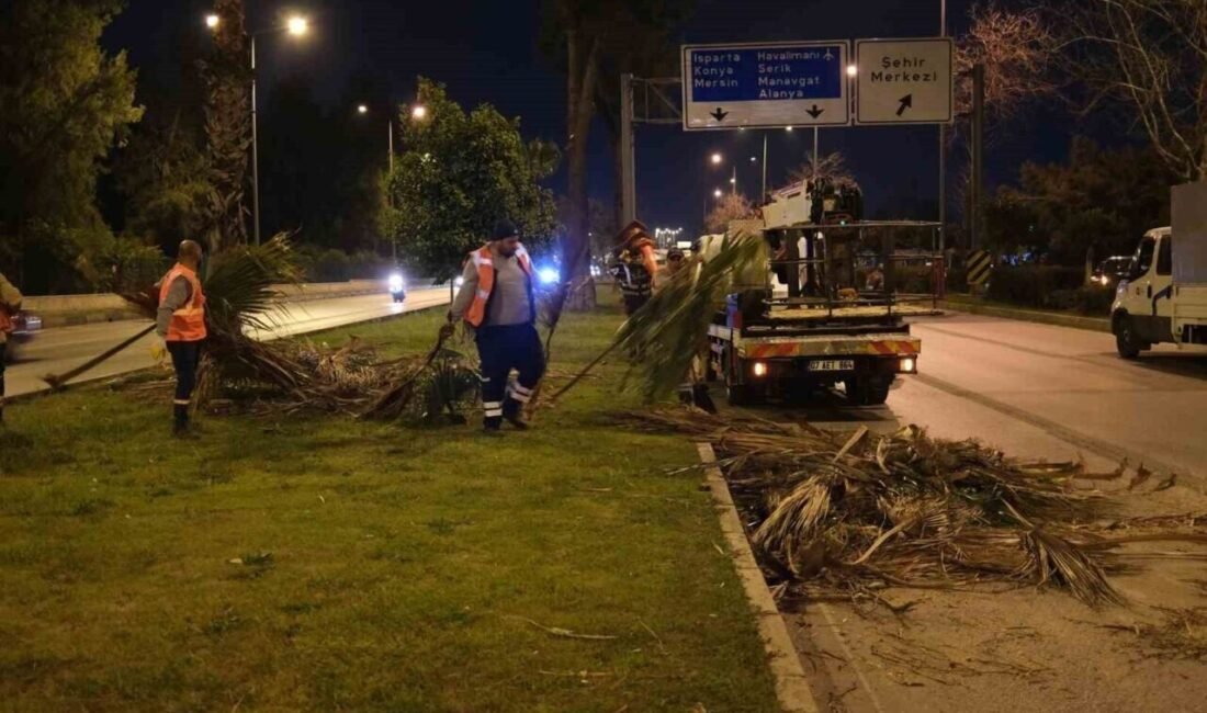 Büyükşehir Belediyesi, ağaçların sağlıklı büyümesi ve bahar aylarının yaklaştığı bu