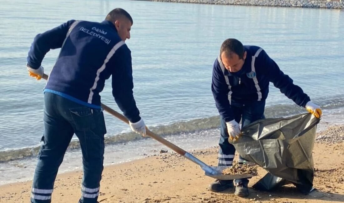 Aydın’ın Didim ilçesinde etkili olan Lodos fırtınasının ardından harekete geçen