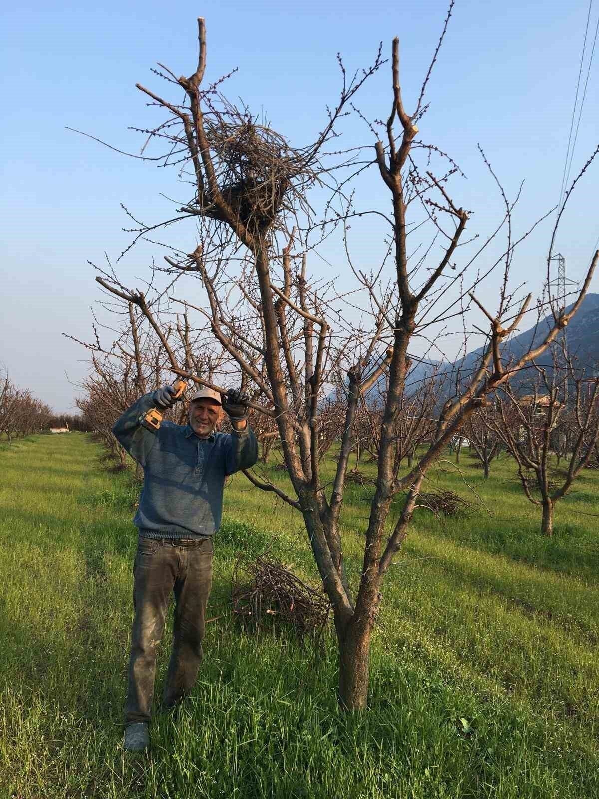 Doğaya saygının en güzel hali