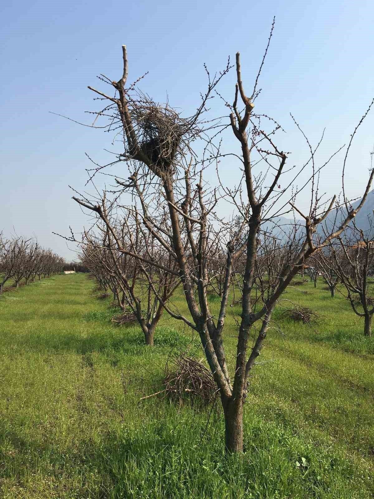 Doğaya saygının en güzel hali