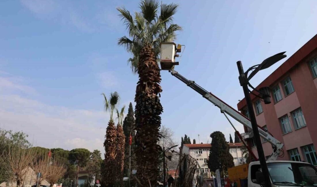 Efeler Belediyesi Park ve Bahçeler Müdürlüğü ekipleri, ilçe genelinde başlattıkları