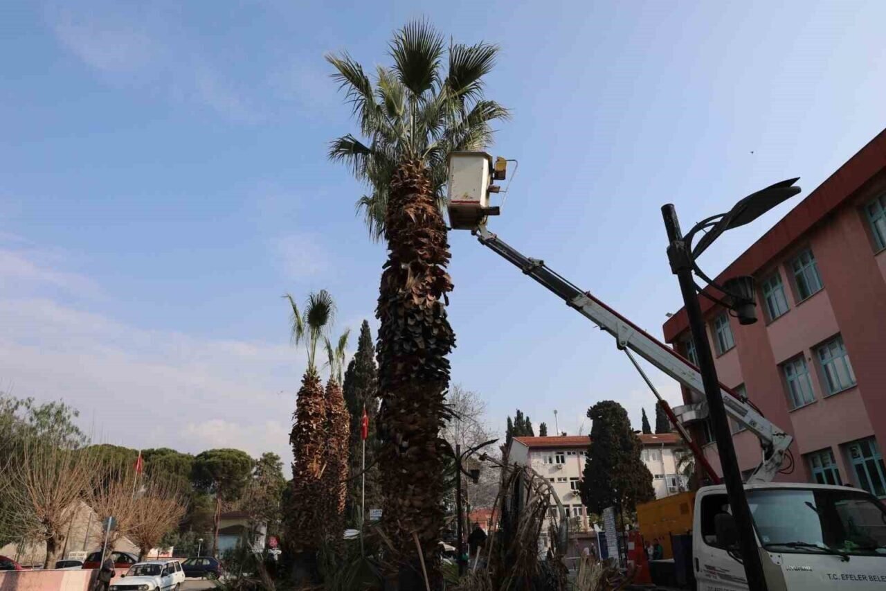 Efeler’in yeşil ekipleri görevde Efeler’in yeşil ekipleri görevde