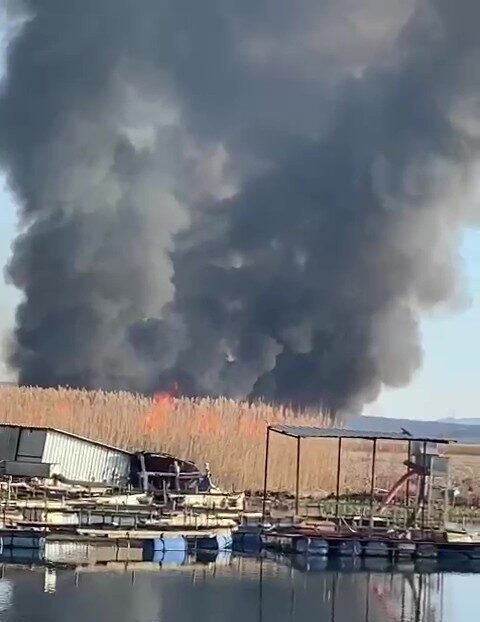 Denizli’nin Çivril ilçesinde bulunan Gökgöl’deki sazlıkların kimliği belirsiz kişi veya