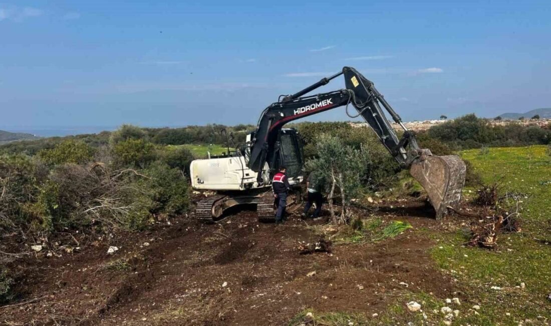 Aydın’ın Didim ilçesinde izinsiz hazine arazisini kazdırdığı iddiasıyla 3 şüpheli