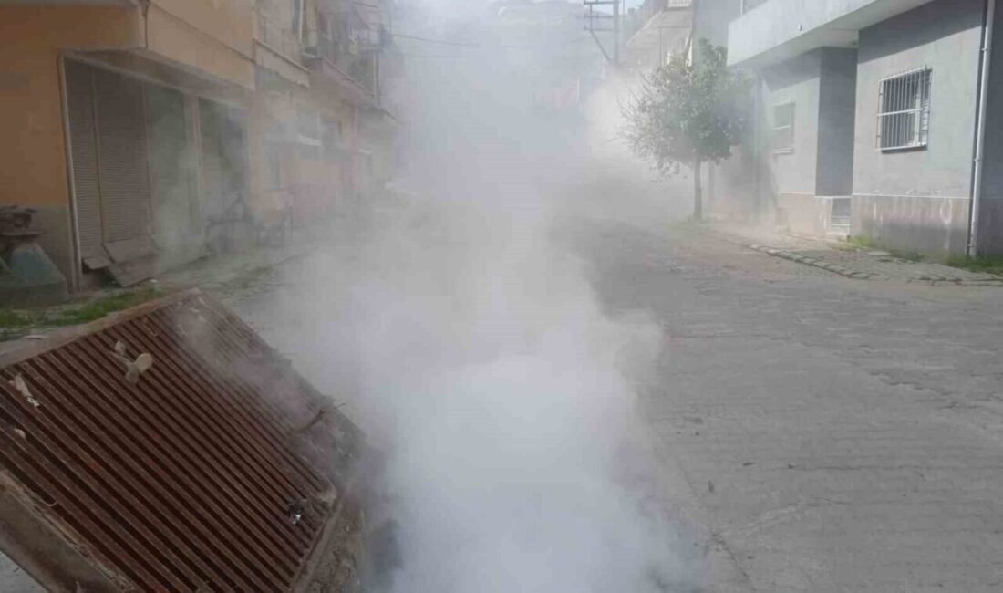 Koçarlı Belediyesi, vatandaşların daha sağlıklı ve temiz bir çevrede yaşaması