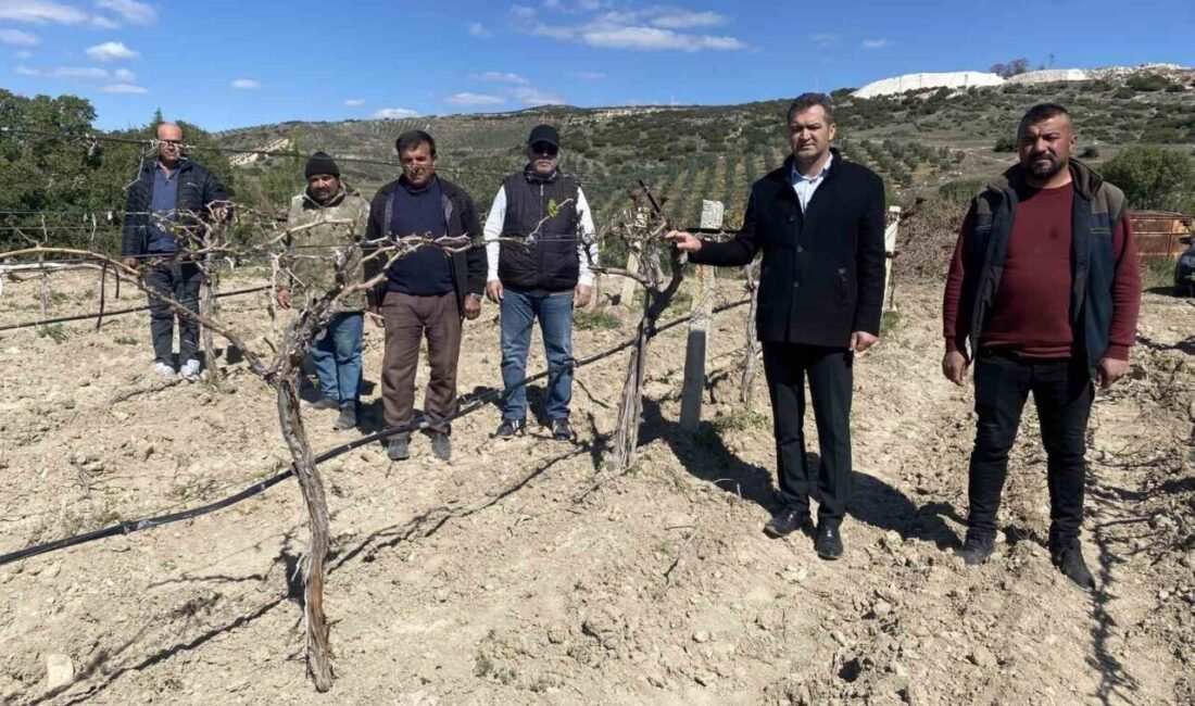 Manisa’nın Alaşehir ilçesinde önceki gün ve dün yaşanan soğuk havalar