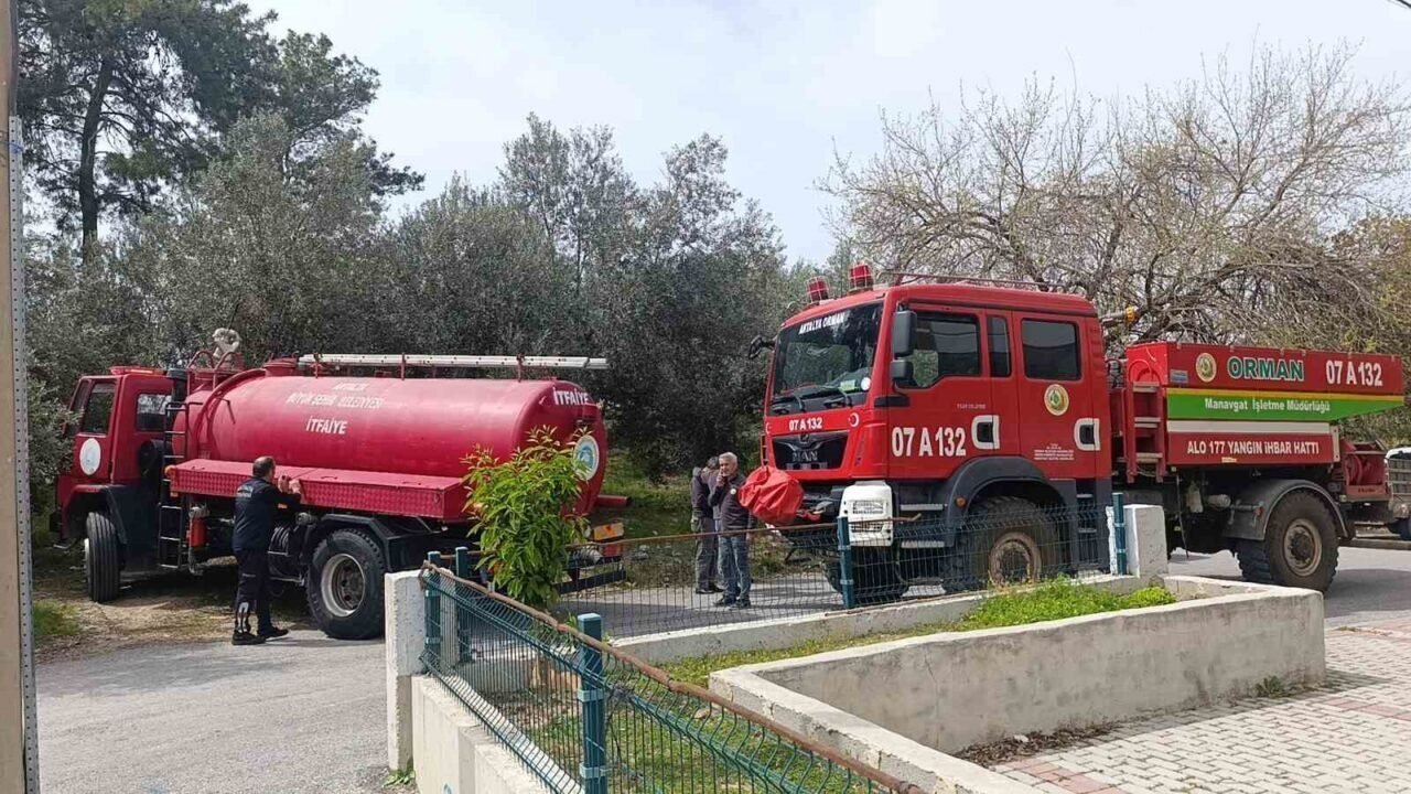 Ormanlık arazide yanan tavuk kümesi ekipleri alarma geçirdi
