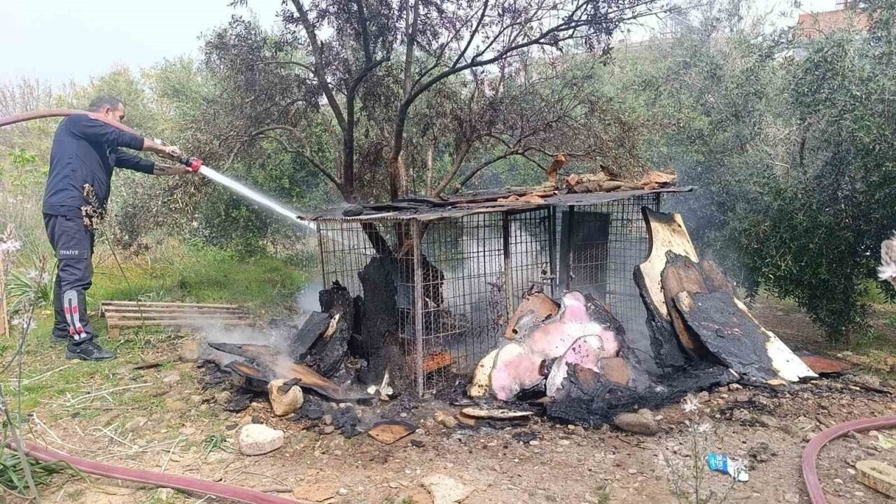 Ormanlık arazide yanan tavuk kümesi ekipleri alarma geçirdi