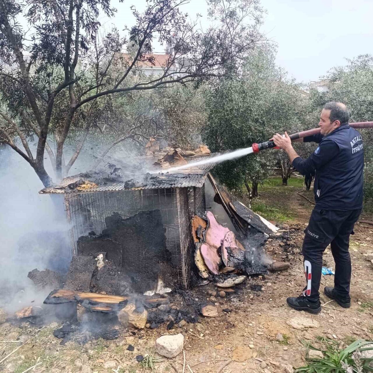 Ormanlık arazide yanan tavuk kümesi ekipleri alarma geçirdi