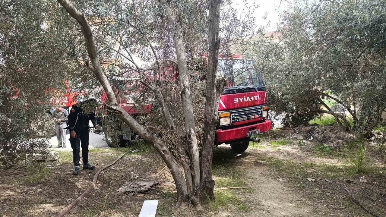 Ormanlık arazide yanan tavuk kümesi ekipleri alarma geçirdi