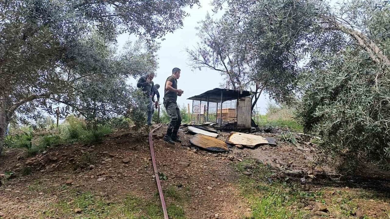 Ormanlık arazide yanan tavuk kümesi ekipleri alarma geçirdi