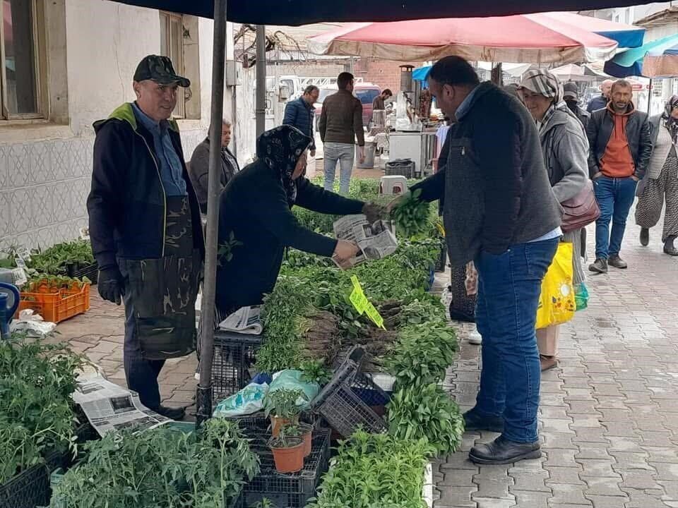 Yazlık sebzelerin fide satışlarına başlandı